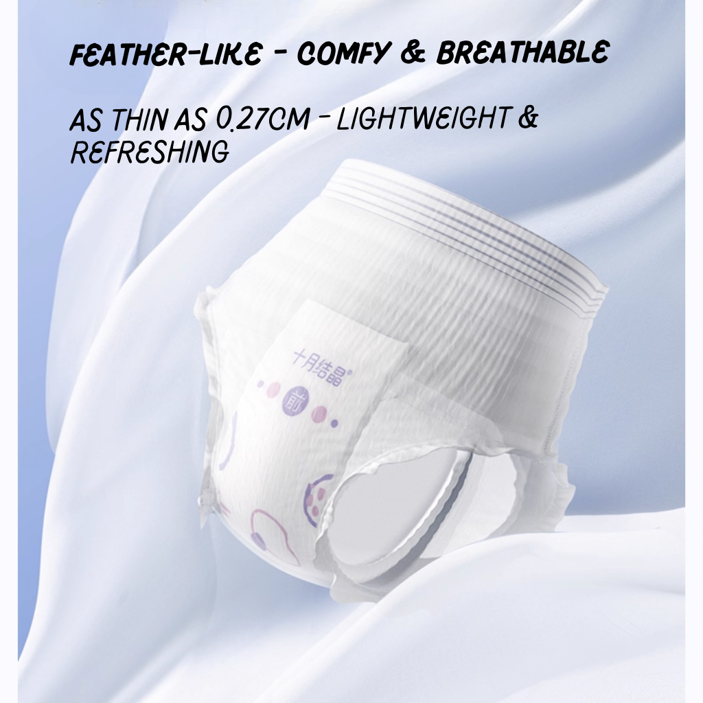 TEN-M Journey Disposable Overnight Menstrual Panties (2pcs)