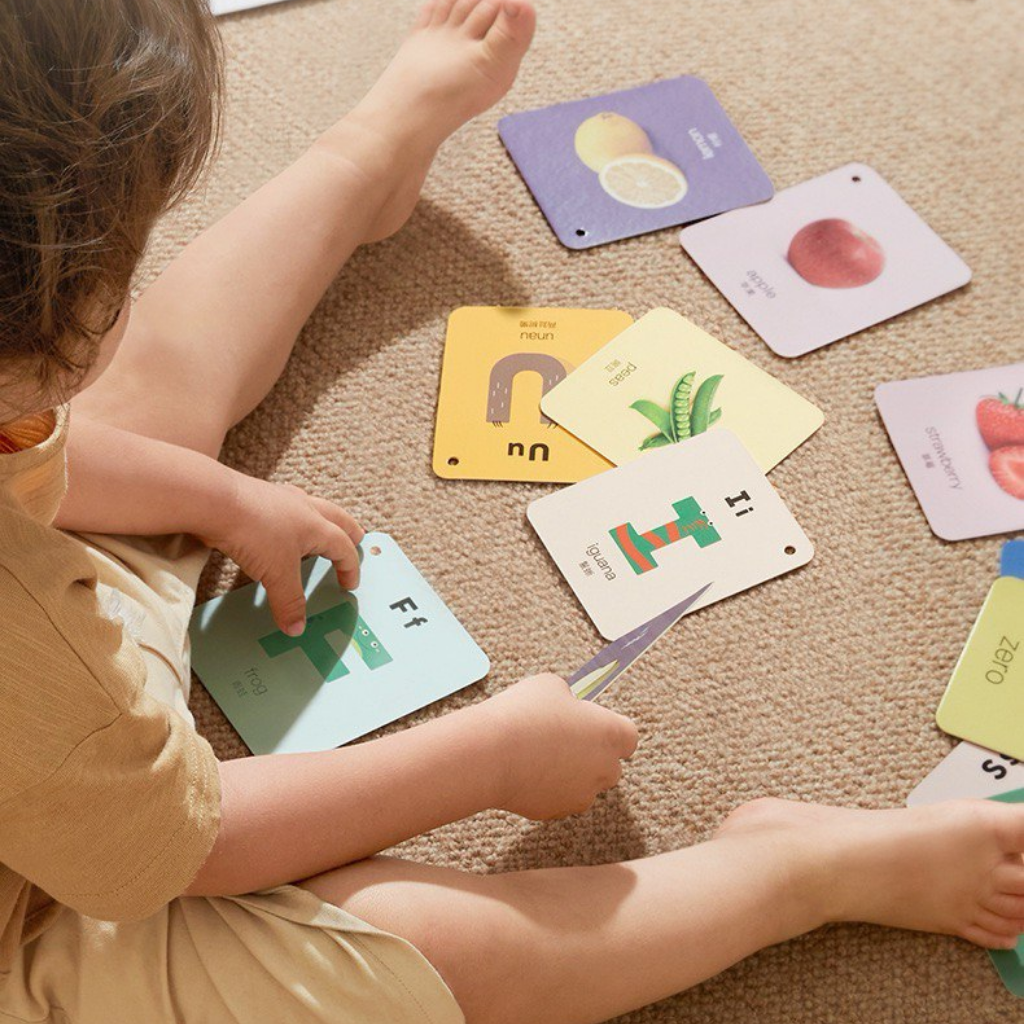 Little Explorer Visual Learning Flashcards