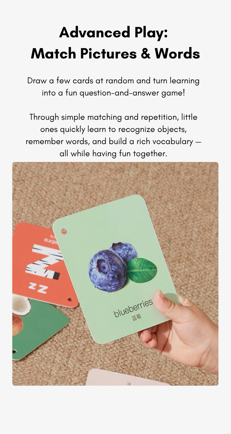 Little Explorer Visual Learning Flashcards