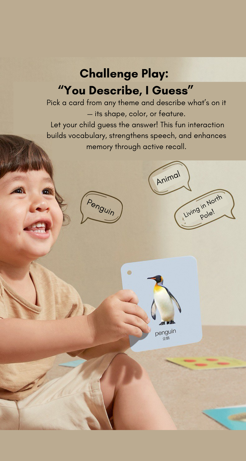 Little Explorer Visual Learning Flashcards