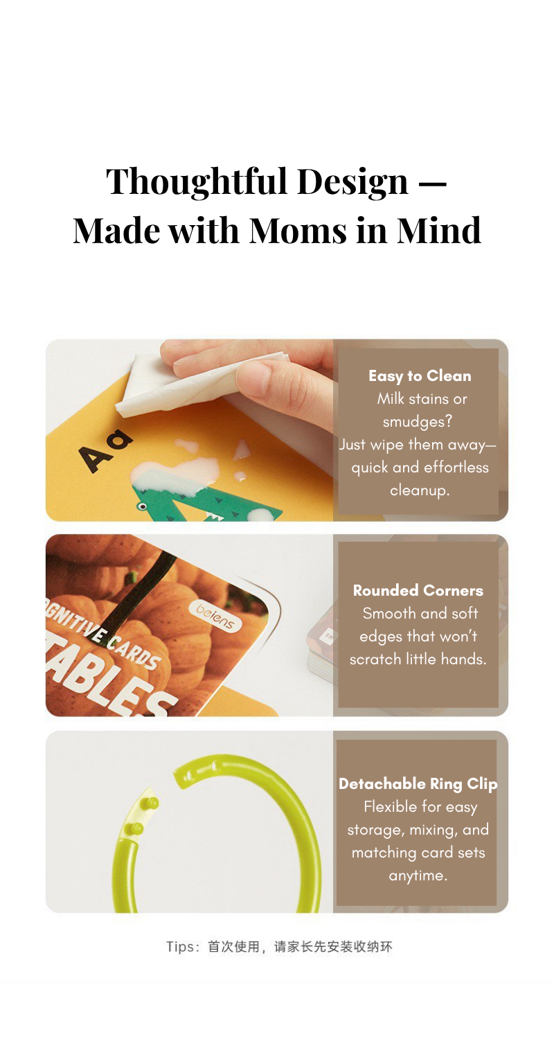 Little Explorer Visual Learning Flashcards