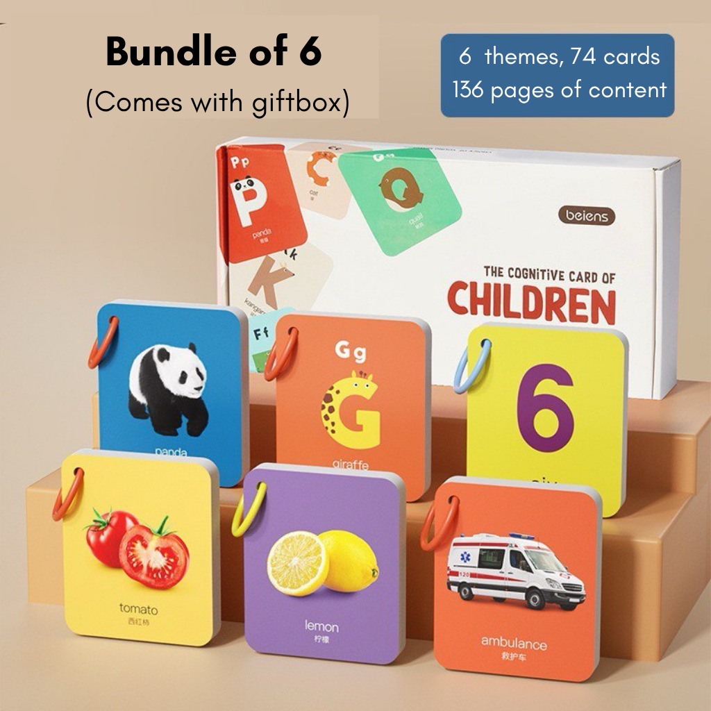 Little Explorer Visual Learning Flashcards