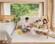 Load image into Gallery viewer, Dinky Korea Platmat
