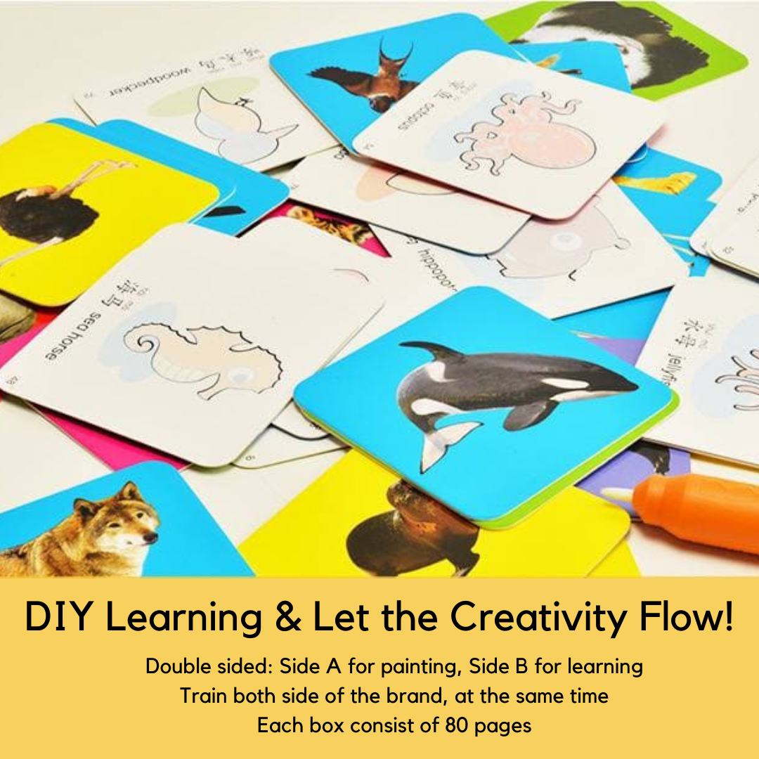 Bilingual Writing Flashcard
